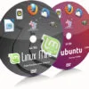 Linux Mint 19.3 Cinnamon and Ubuntu 16.04.7 Unity 64 Bit Live Bootable DVD