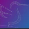 Lubuntu 20.04.5 LXQt 64 Bit Live Bootable Installation 16GB USB Pen Drive - Image 2