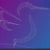Lubuntu 20.04.5 LXQt 64 Bit Live Bootable Installation 16GB USB Pen Drive - Image 4